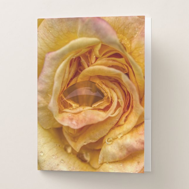 Rose Pocket Folder (Front)