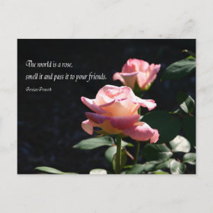rose postcard