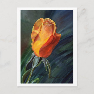 Rose Postcard