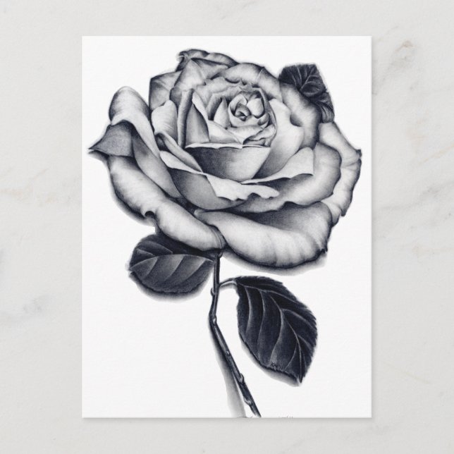 Rose Postcard (Front)