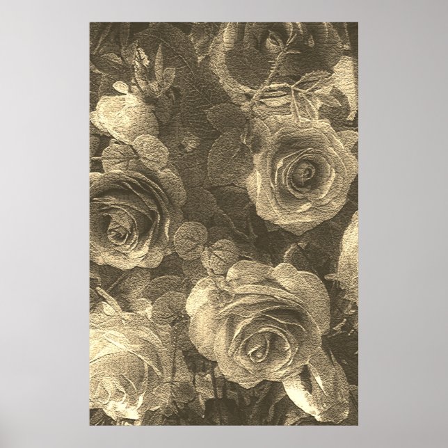 Rose Poster (Front)