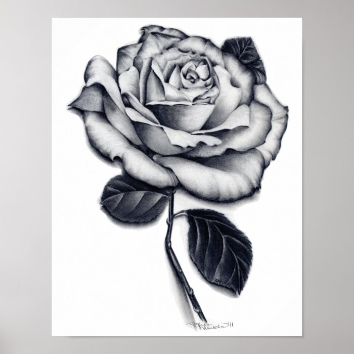 Rose Poster Art