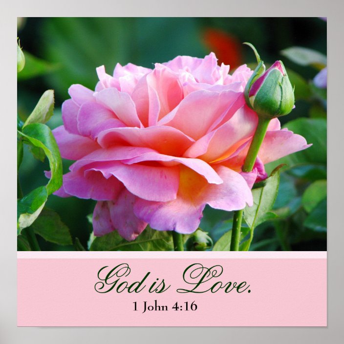 Rose Poster with Bible Verse | Zazzle.com