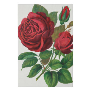 Rose Print Rochester Lithographing and Printing Co