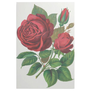 Rose Print Rochester Lithographing and Printing Co