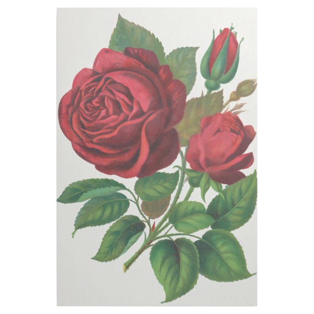 Rose Print Rochester Lithographing and Printing Co (Front)