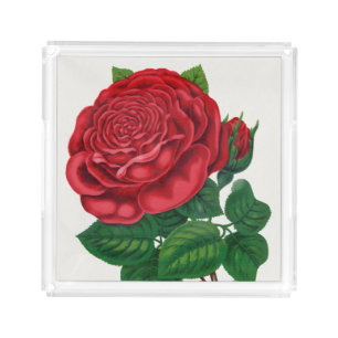 Rose Print Rochester Lithographing and Printing Co Acrylic Tray