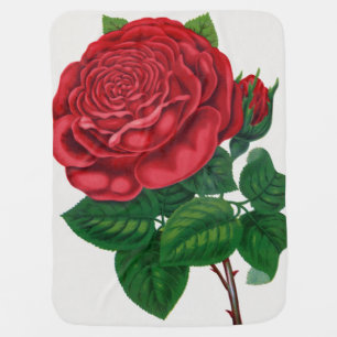 Rose Print Rochester Lithographing and Printing Co Baby Blanket