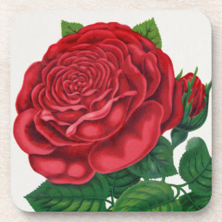 Rose Print Rochester Lithographing and Printing Co Beverage Coaster