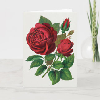 Rose Print Rochester Lithographing and Printing Co Card