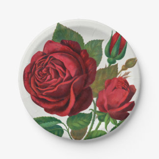 Rose Print Rochester Lithographing and Printing Co Paper Plates
