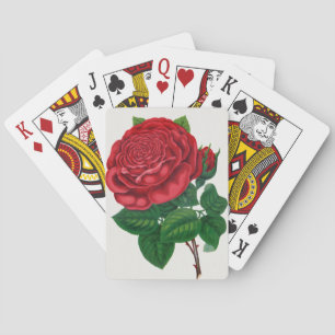 Rose Print Rochester Lithographing and Printing Co Poker Cards