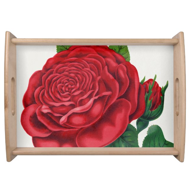 Rose Print Rochester Lithographing and Printing Co Serving Tray (Front)