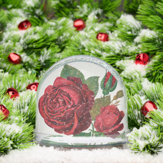 Rose Print Rochester Lithographing and Printing Co Snow Globe