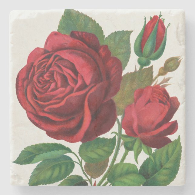 Rose Print Rochester Lithographing and Printing Co Stone Coaster (Front)