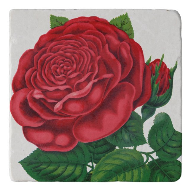 Rose Print Rochester Lithographing and Printing Co Trivet (Front)