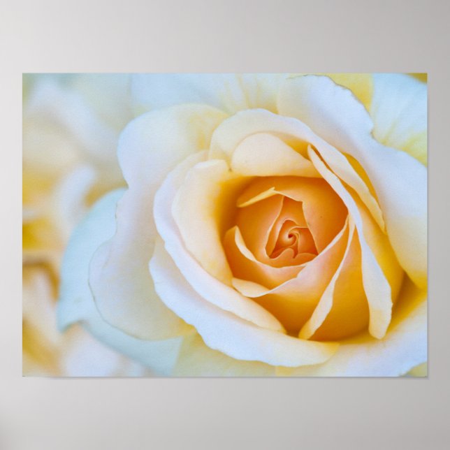 Rose Print, Value Poster Paper (Matte) (Front)