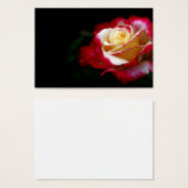 Rose profile card (Front & Back)