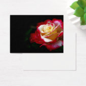Rose profile card (Desk)