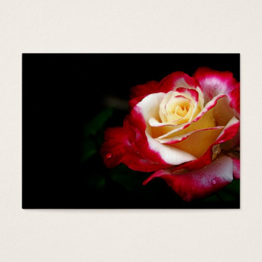 Rose profile card (Front)