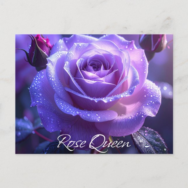 Rose Queen Postcard (Front)