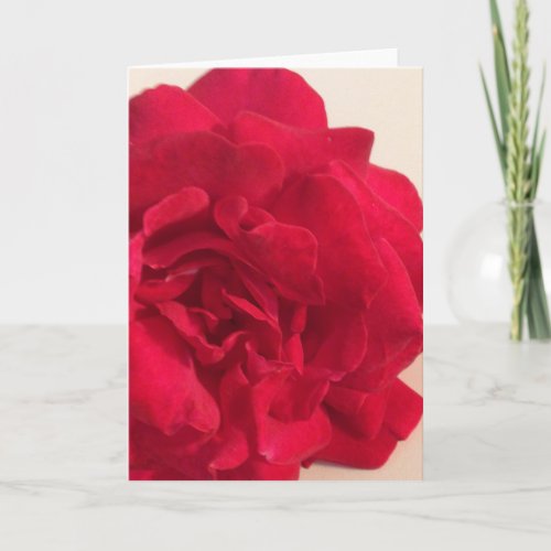 Rose Red Flower Blank Greeting Card