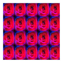 Rose Red Miami, poster