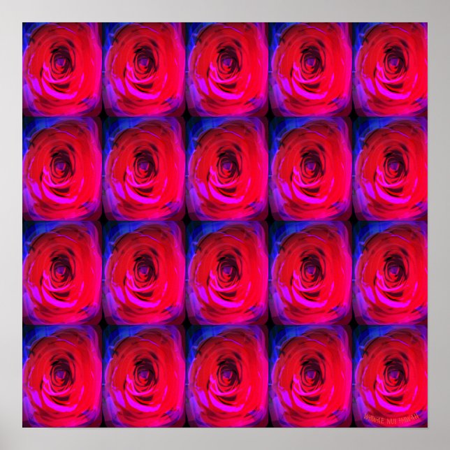 Rose Red Miami, poster (Front)