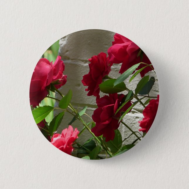 rose,red rose button (Front)