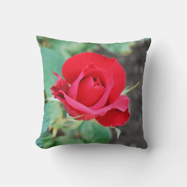 Rose Red  Throw Pillow (Front)