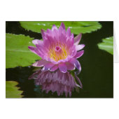 Rose Reflection (Front Horizontal)