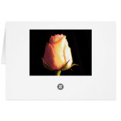 Rose Reflections Cards (Back Horizontal)