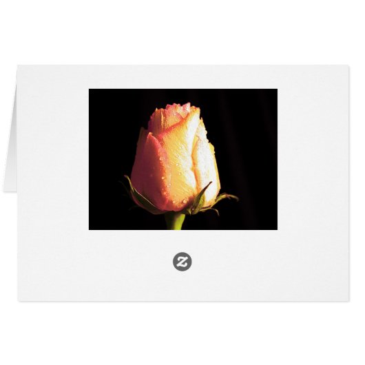 Rose Reflections Cards (Back Horizontal)