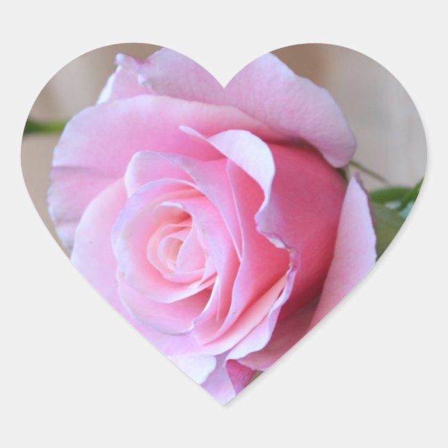 Rose Reverence Heart Stickers (Front)