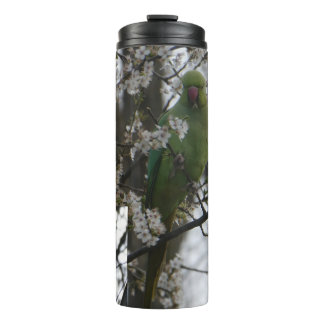 Rose-ringed Parakeet in Blossom Tree Tumbler