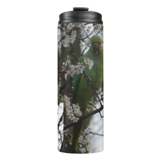 Rose-ringed Parakeet in Blossom Tree Tumbler (Front)