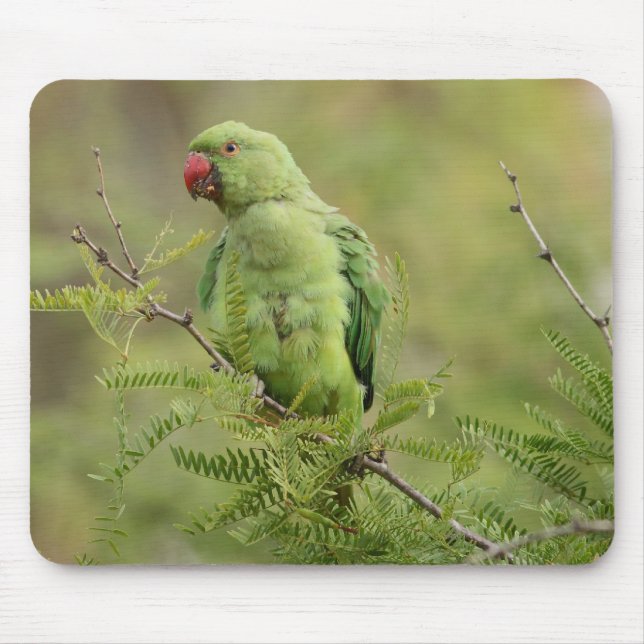 Rose-ringed Parakeet Mouse Pad (Front)