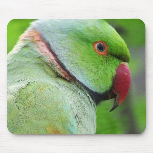 Rose-Ringed Parakeet Mousepad (Front)