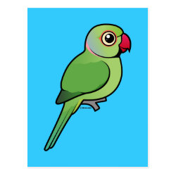 Cute Green Indian Ringneck Postcard