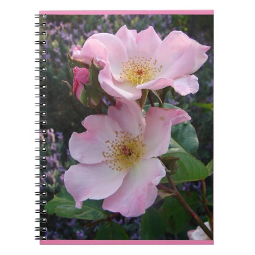 Rose Roses Pink Vintage Wild retro Flower floral Notebook