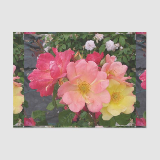 Rose Roses Wild Red Yellow Pattern Floral Flower Tissue Paper (Front)