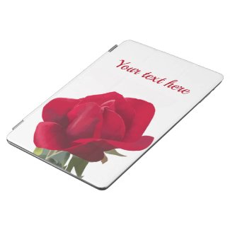  Rose rouge - Red rose 