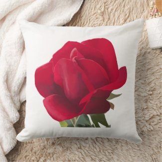  Rose rouge - Red rose 