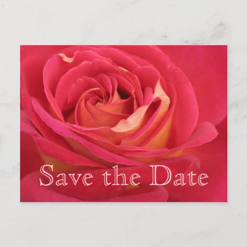Rose Save the date 45th Birthday Celebration _ Announcement Postcard