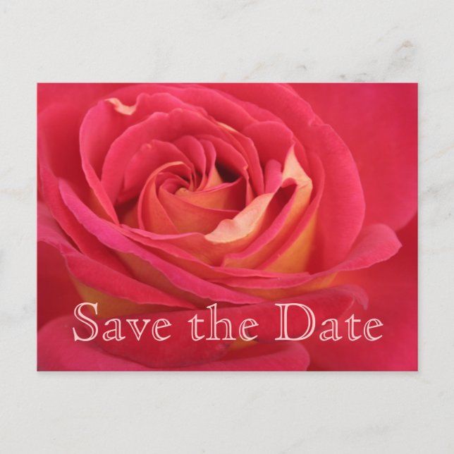 Rose Save the date 55th Birthday Celebration APost Announcement Postcard (Front)