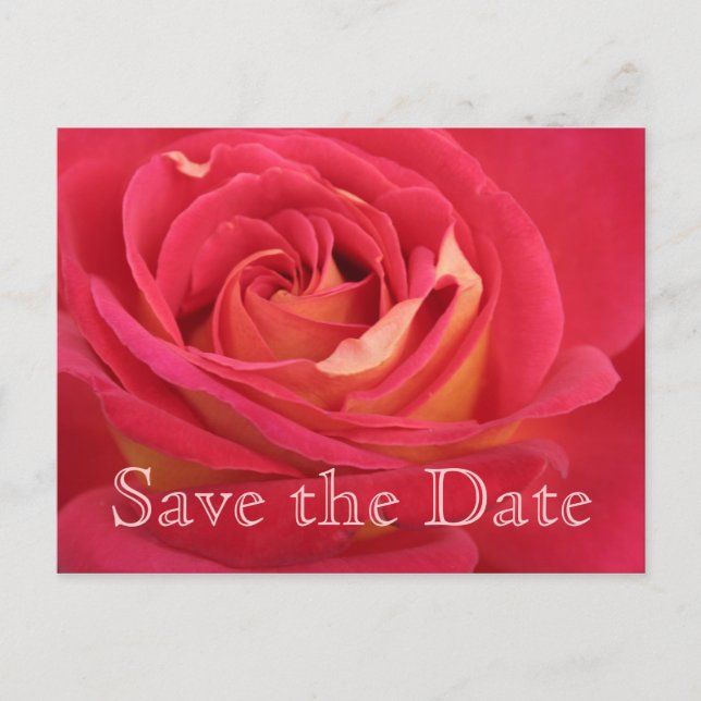 Rose Save the date 90th Birthday Celebration PostC Announcement Postcard (Front)