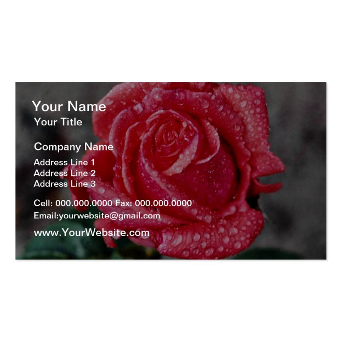 Rose, Shropshire Garden, after rain  flowers Business Card