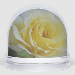 Rose Snow Globe