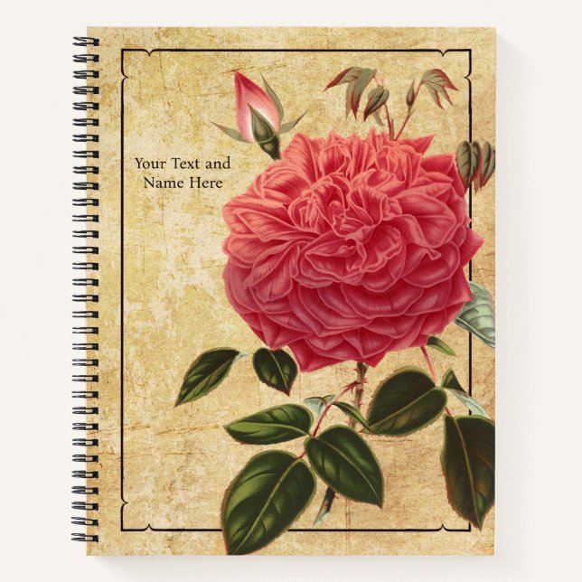 Rose Souvenir de la Malmaison Notebook (Front)