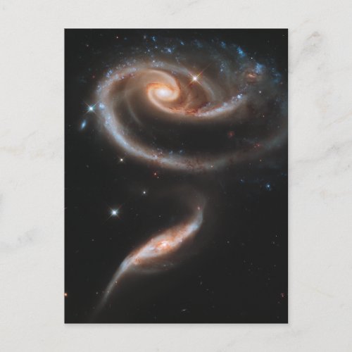 Rose Spiral Galaxies Postcard